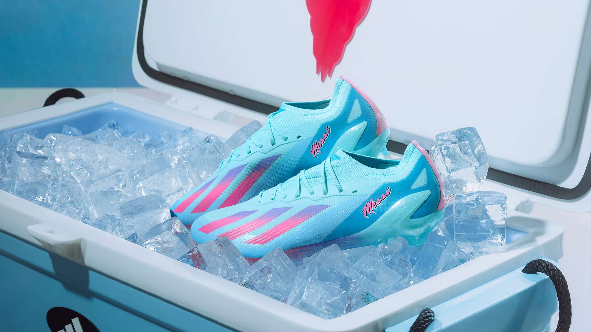 深刻揭示了 深刻揭示了