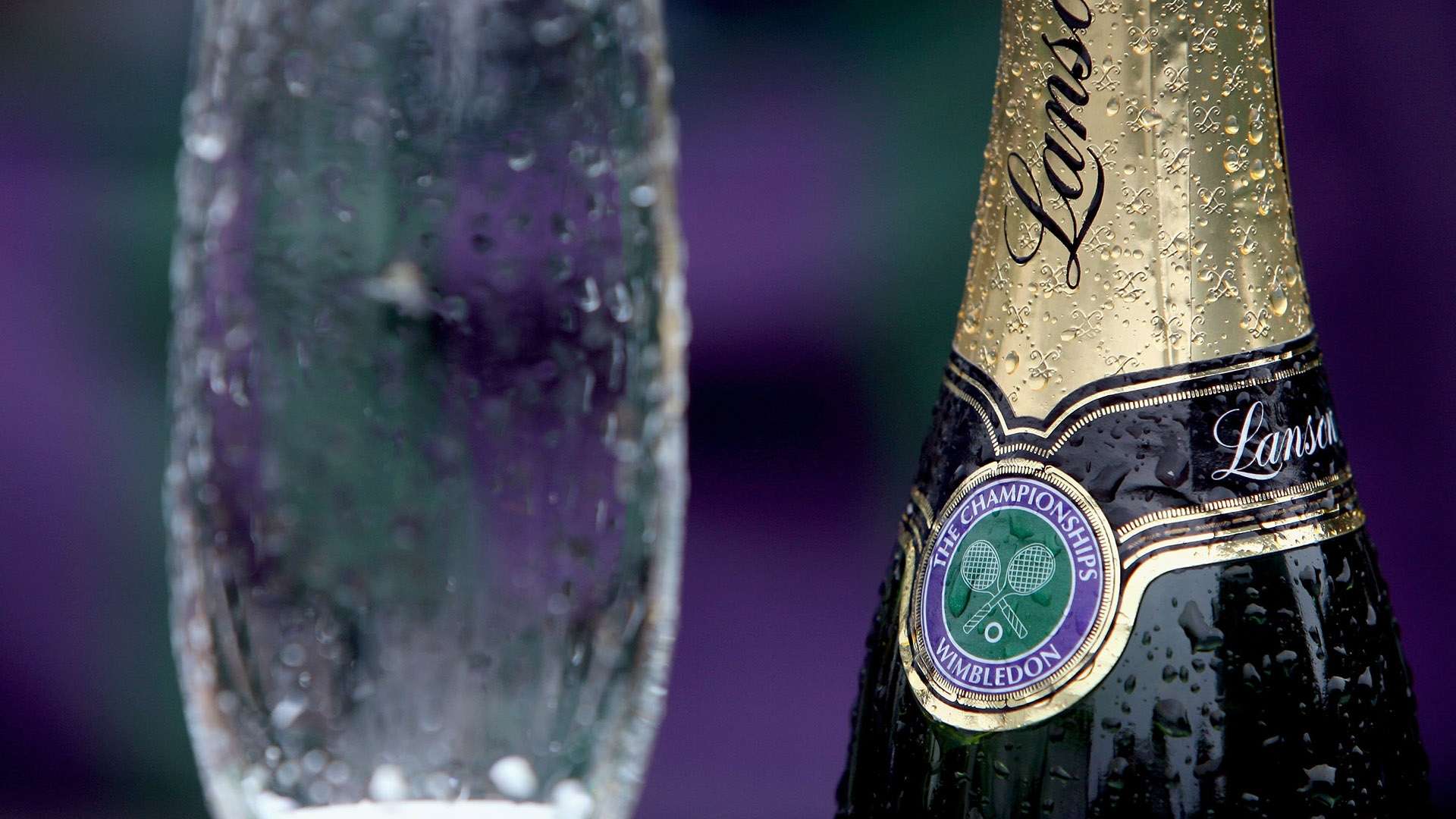 更加丰富 更加丰富