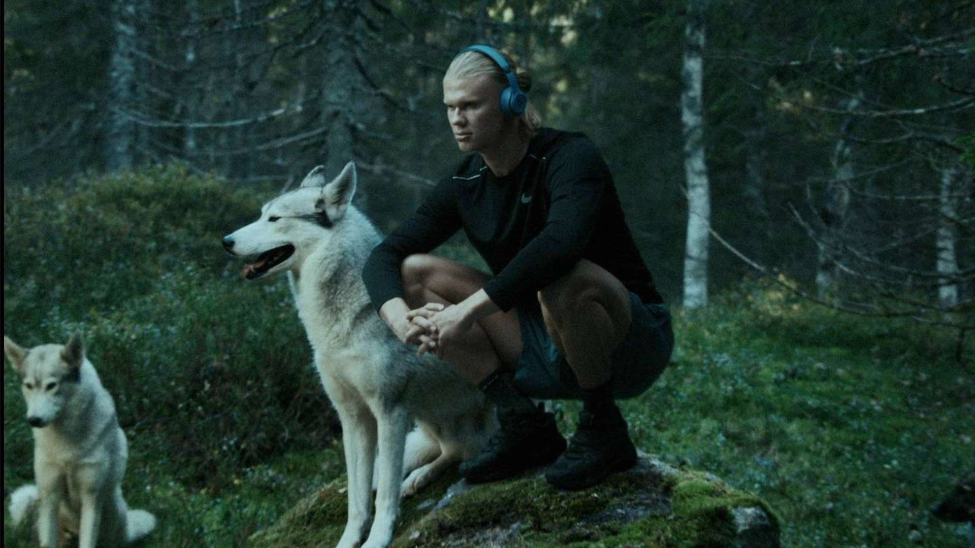 他並未選擇 他並未選擇