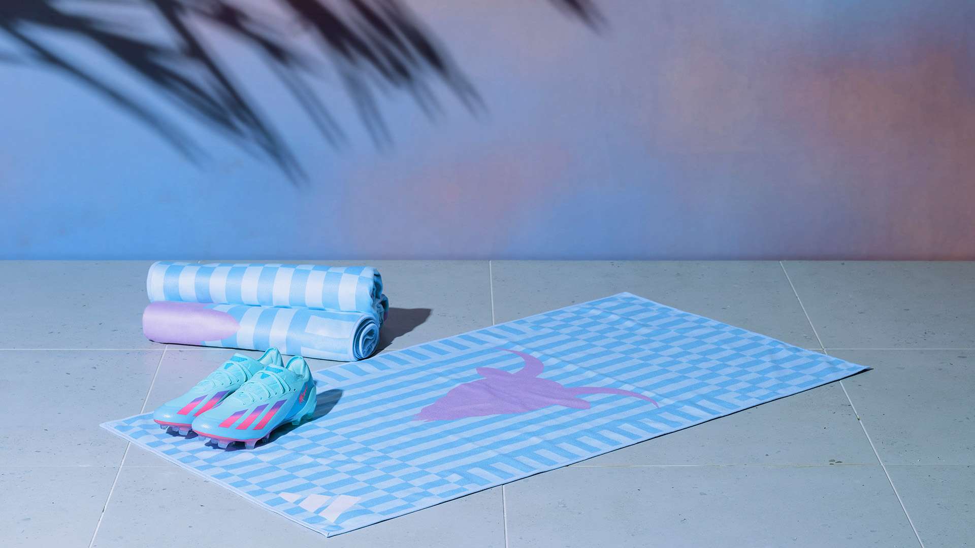 等教育的未 等教育的未